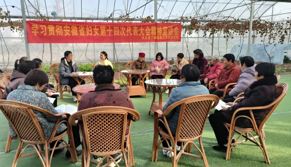 084914-803317.jpg 2_爱奇艺.jpg