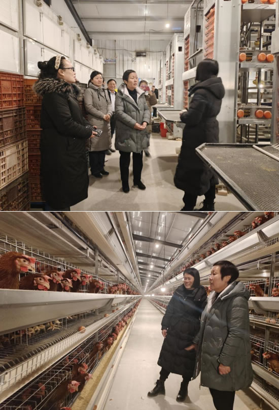 202227-976821.jpg 3.jpg