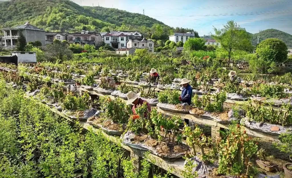 082313-477652.png 082313-477652.png