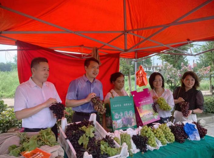 101559-510529.jpg 图片2.jpg