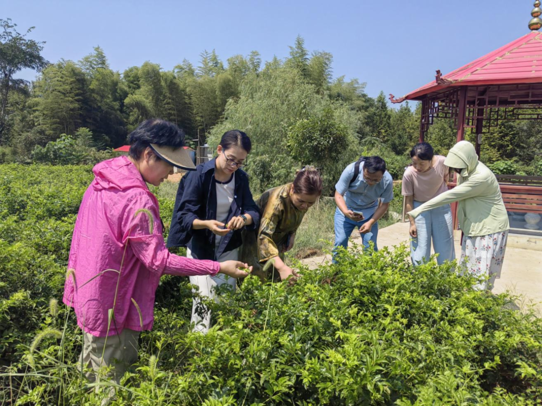 094350-952035.png 094350-952035.png