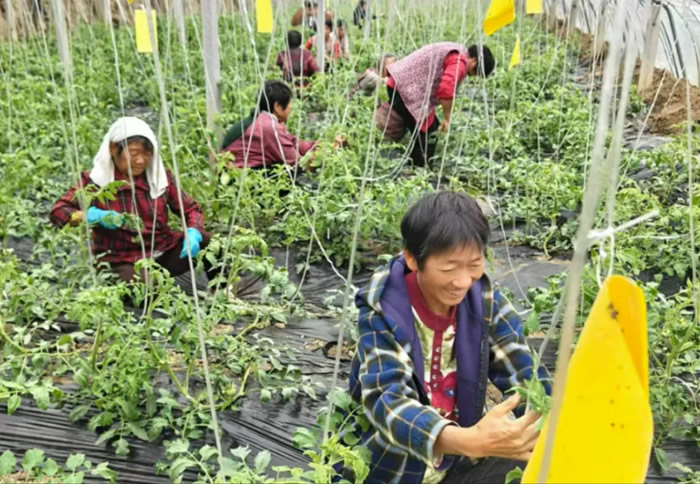 230805-186413.jpg 11.jpg