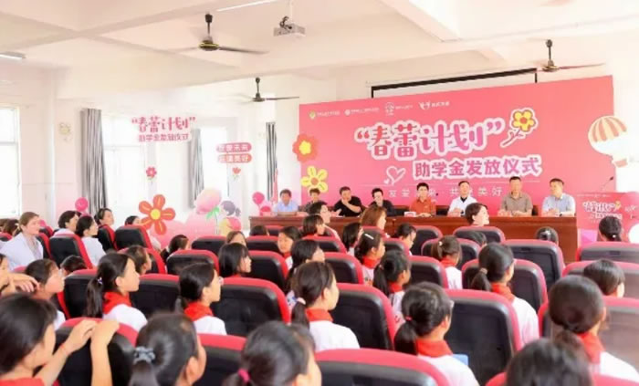 045531-790321.jpg 12.jpg